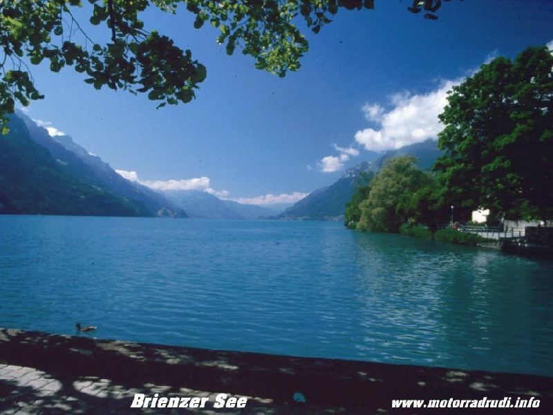 64BrienzerSee.jpg