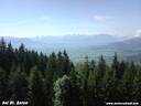 010StAntwon100608.JPG