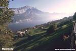 0118Walensee.jpg