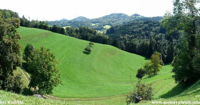 021beiRotbuehl060911.jpg