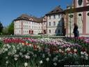 02Schloss240409.JPG