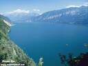 0312ThunerSee.jpg