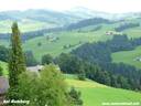 037Hemberg020808.JPG