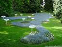 06Bluetenbodensee200509.JPG