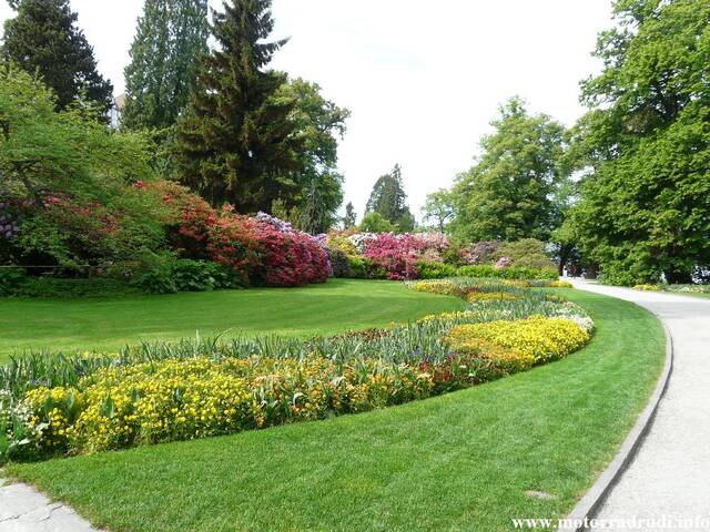 06Rhododendron200509.JPG