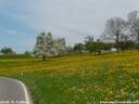 06hinterStGallen240409.JPG