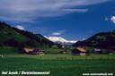 0708LenkZweisimmen.jpg