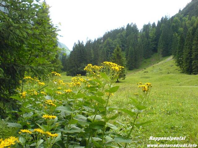 10090705Rappenalpental.JPG