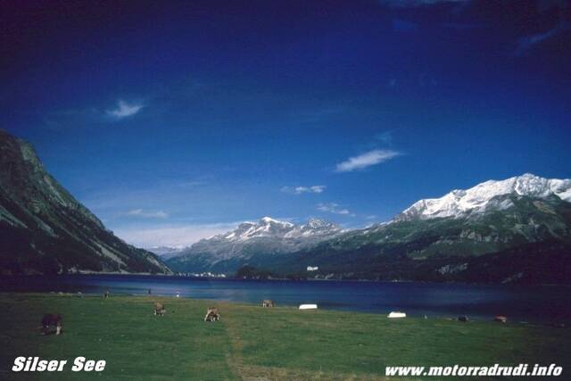 1203SilserSee.jpg