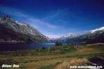 1204SilserSee.jpg