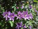 12Mainau100608.JPG