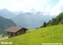 12ThunerSee090607.JPG