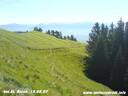 14150807StAntonCH.JPG