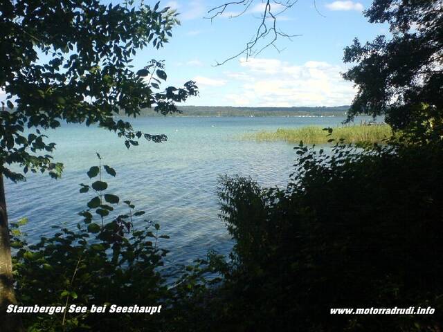 16250806StarnbergerSeebeiSeehaupt.JPG