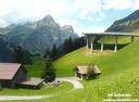17beiSchroecken310707.JPG