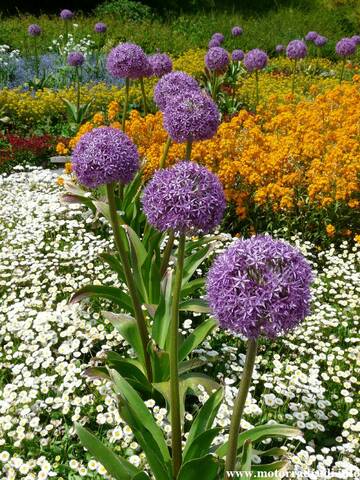 19Mainau200509.JPG
