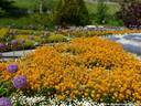 20Mainau200509.JPG