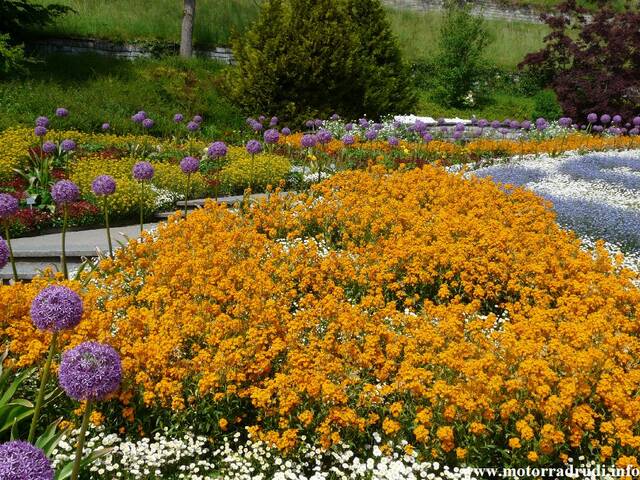 20Mainau200509.JPG