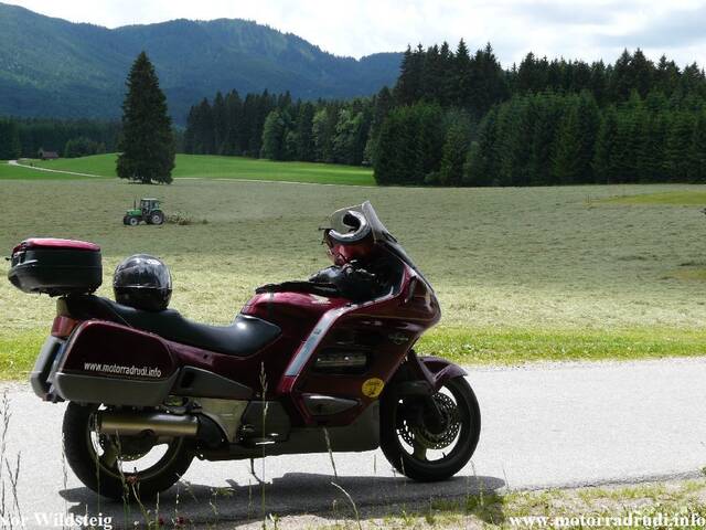 21vorWildsteig130609.JPG