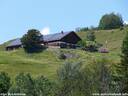 37AlpeBeichelstein130609.JPG