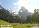 37Schwarzwaldalp080607.JPG