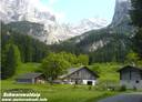 38Schwarzwaldalp080607.JPG