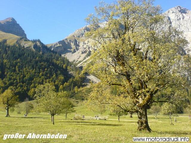 grAhornboden101006-05.JPG