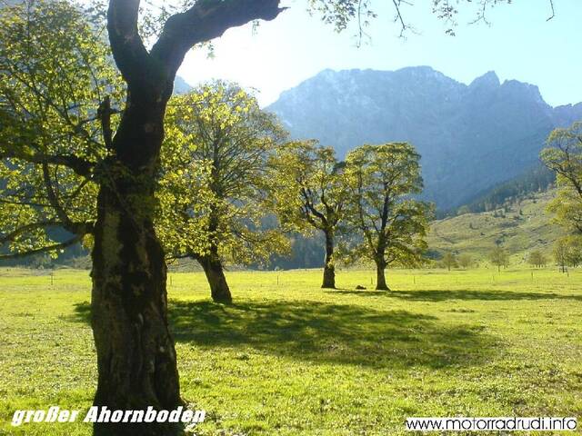 grAhornboden101006-11.JPG