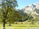 grAhornboden101006-12.JPG
