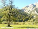 grAhornboden101006-14.JPG