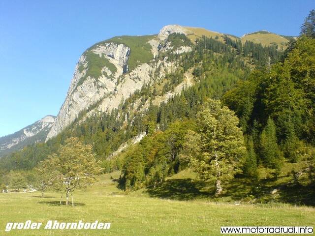 grAhornboden101006-17.JPG